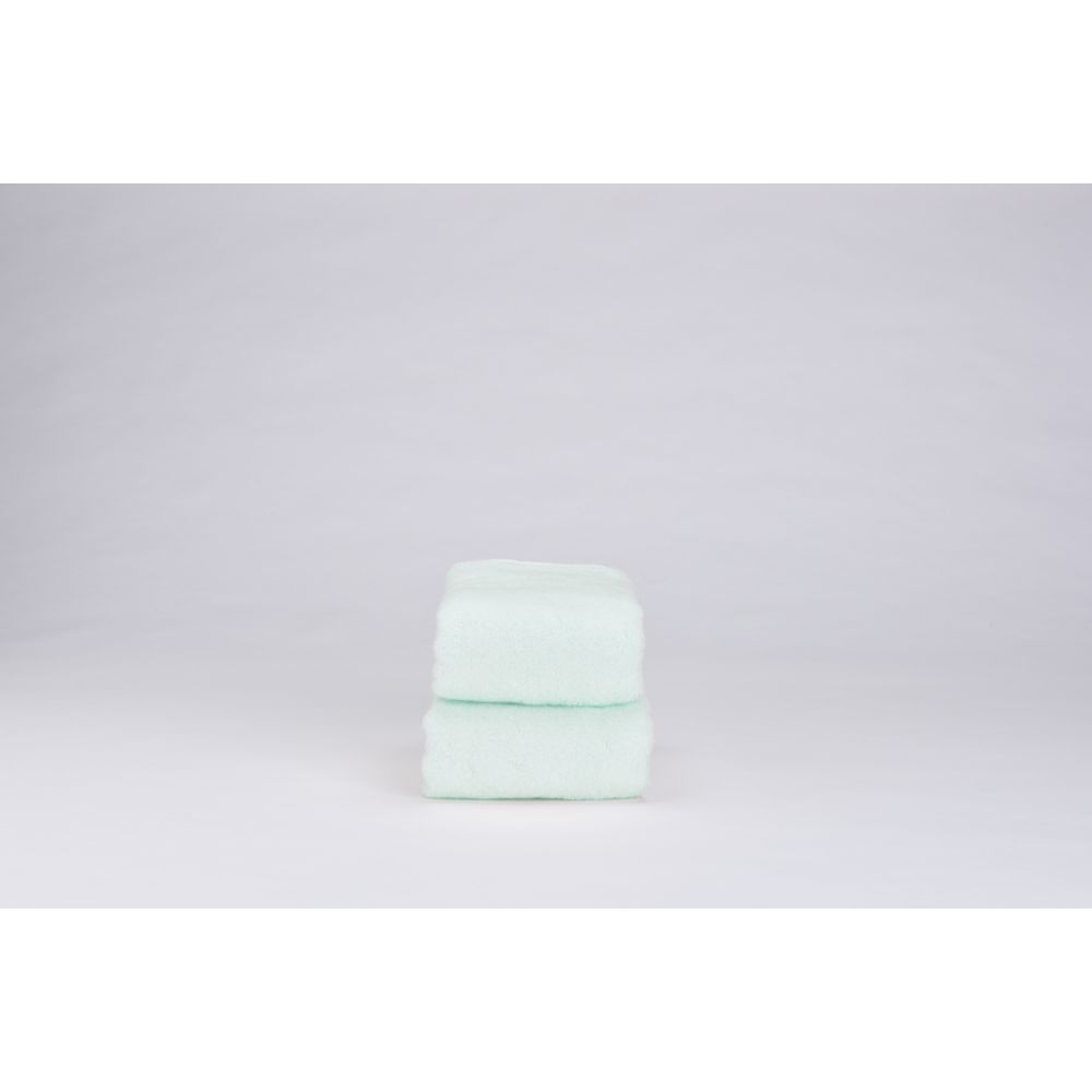 速乾ペール【ミニバスタオル】 lightgreen 【結婚式 ギフト 引き出物 タオル 寝具】