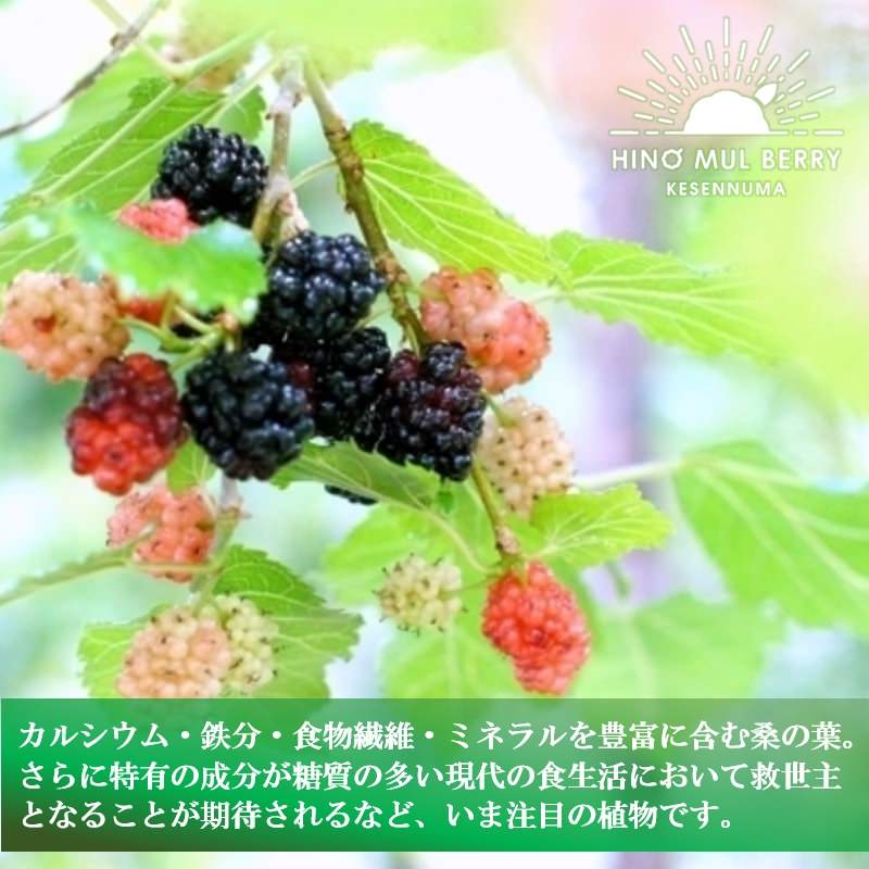 桑の和紅茶(リーフ30g) 【結婚式 ギフト 縁起物 紅茶】