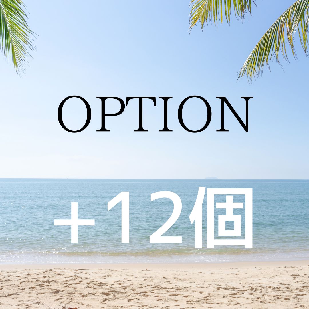 【オプション】+12個