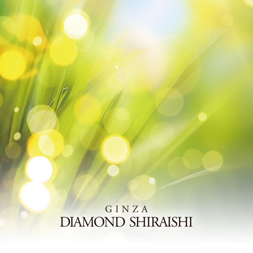 Diamond Grass(ダイヤモンド グラス)