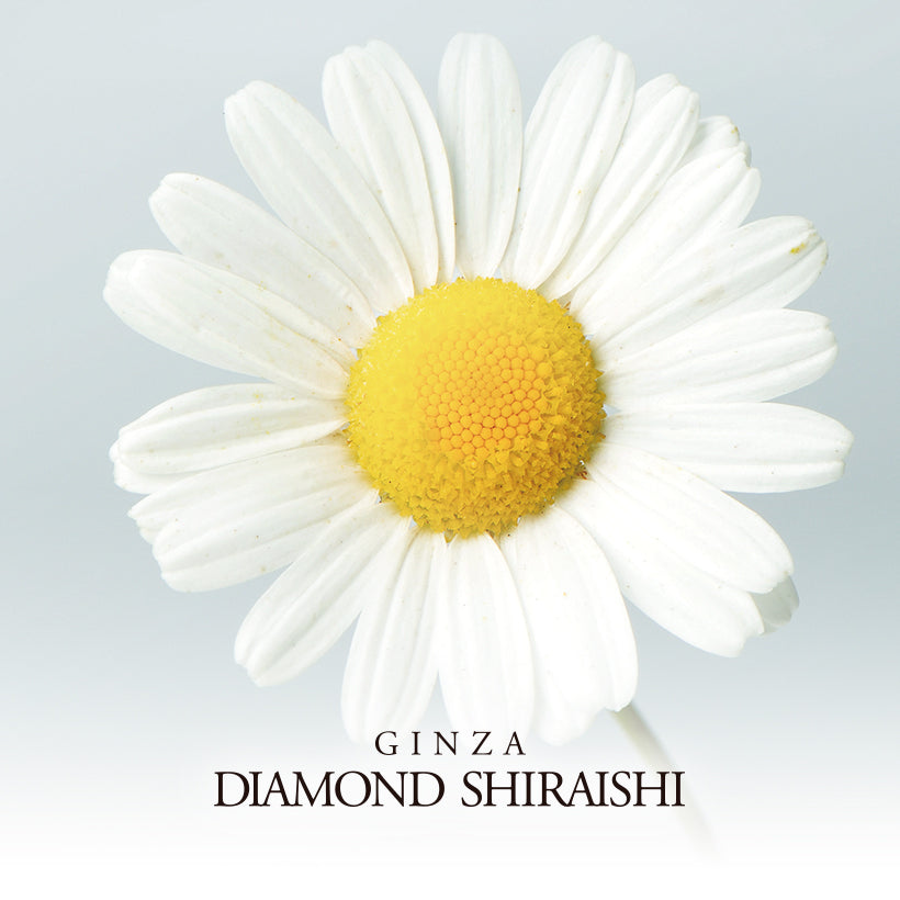 Smiling Daisy(スマイリング デイジー)