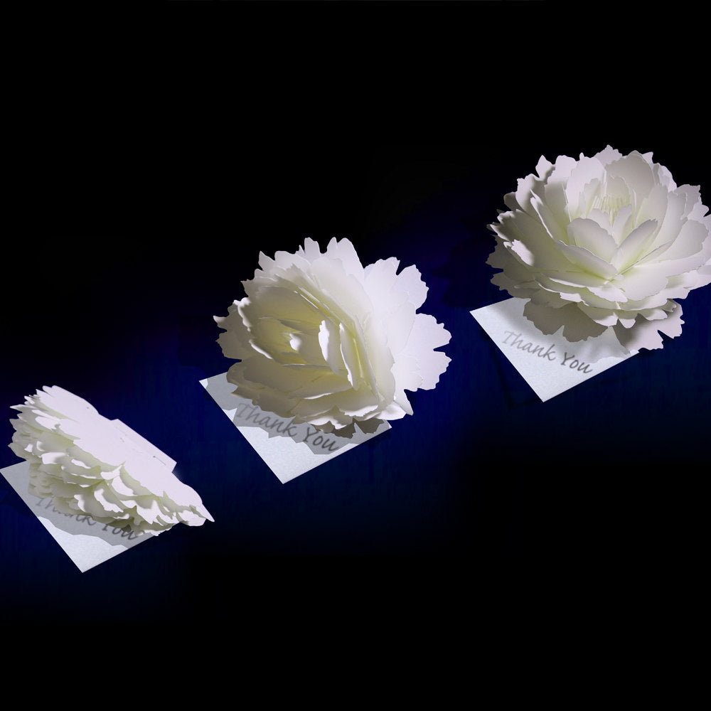 〈ピオニー〉咲くようにひらく 花のサンキューカード・席札 【結婚式 挙式 披露宴 演出グッズ】