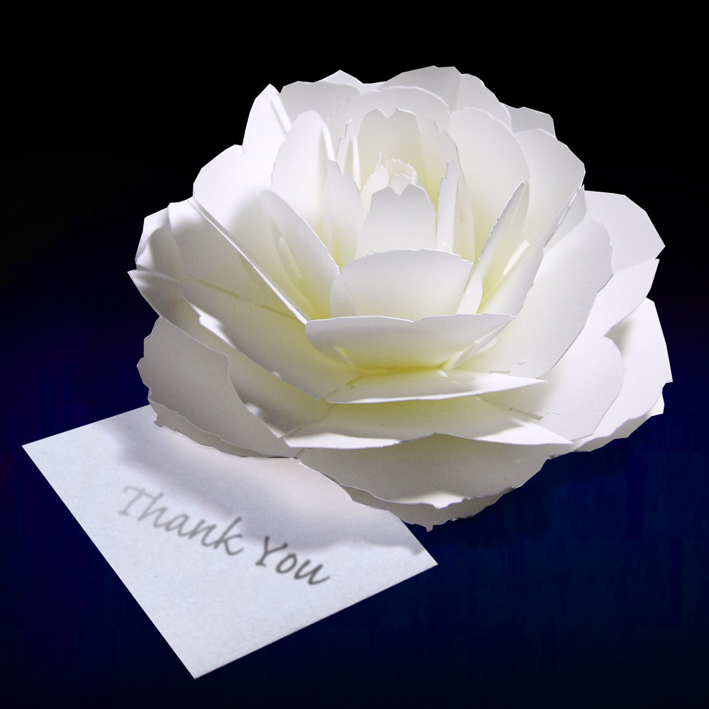 〈ローズ〉咲くようにひらく 花のサンキューカード・席札 【結婚式 挙式 披露宴 演出グッズ】