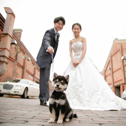 【ロケーション撮影付】フォトウエディングプラン<大阪築港赤レンガ倉庫> 【結婚式 写真 フォト 撮影】