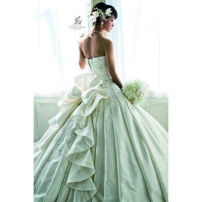 剛力彩芽 【ウェディングドレス レンタル】