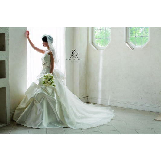 剛力彩芽 【ウェディングドレス レンタル】