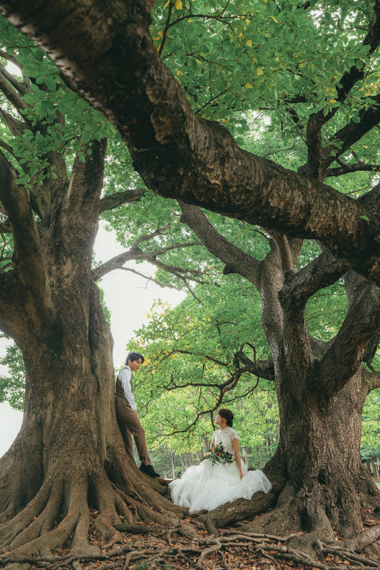 根岸森林公園【結婚式 写真 フォトウェディング】 横浜店