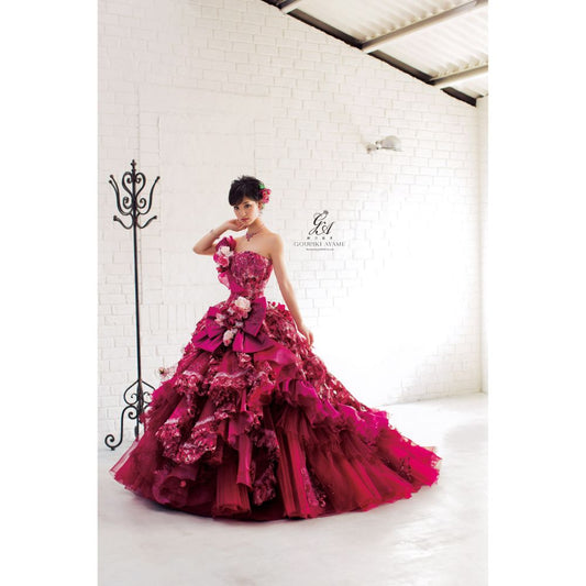 剛力彩芽 【結婚式 カラードレス レンタル】