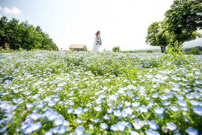 【フォトウェディング】スタンダード前撮りロケーションプラン　【結婚式　写真　フォト　撮影】