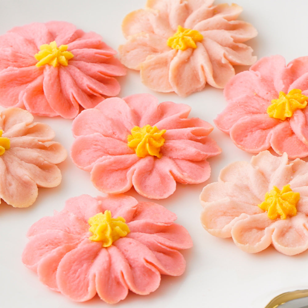 お花のぼうろマロン3缶セット(コスモス)