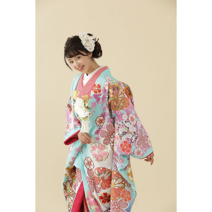 桜に菊絵水色白暈 【結婚式 和装 色打掛 レンタル】