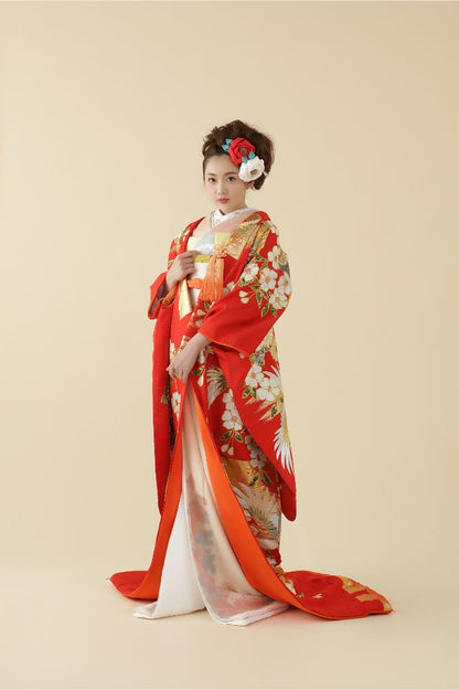 枝垂れ梅に鳳凰 【結婚式 和装 色打掛 レンタル】