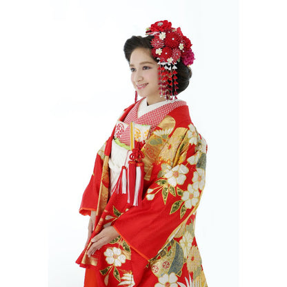 枝垂れ梅に鳳凰 【結婚式 和装 色打掛 レンタル】