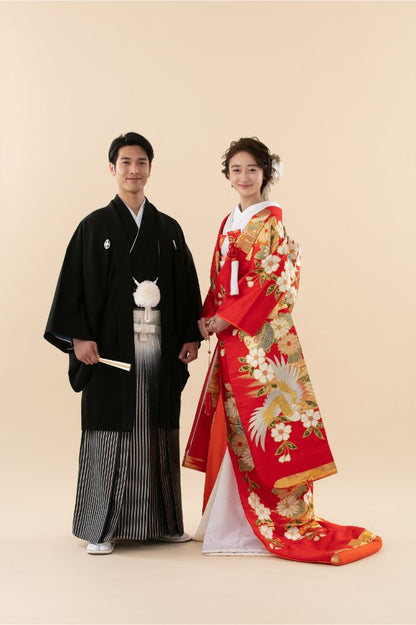 枝垂れ梅に鳳凰 【結婚式 和装 色打掛 レンタル】