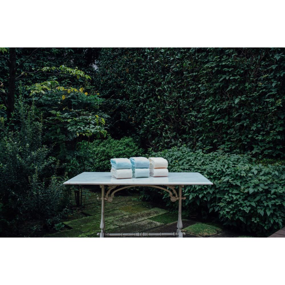 速乾ペール【ミニバスタオル】 lightgreen 【結婚式 ギフト 引き出物 タオル 寝具】