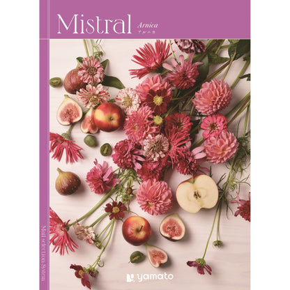 ミストラル(アルニカ) 【結婚式 引き出物 カタログギフト】