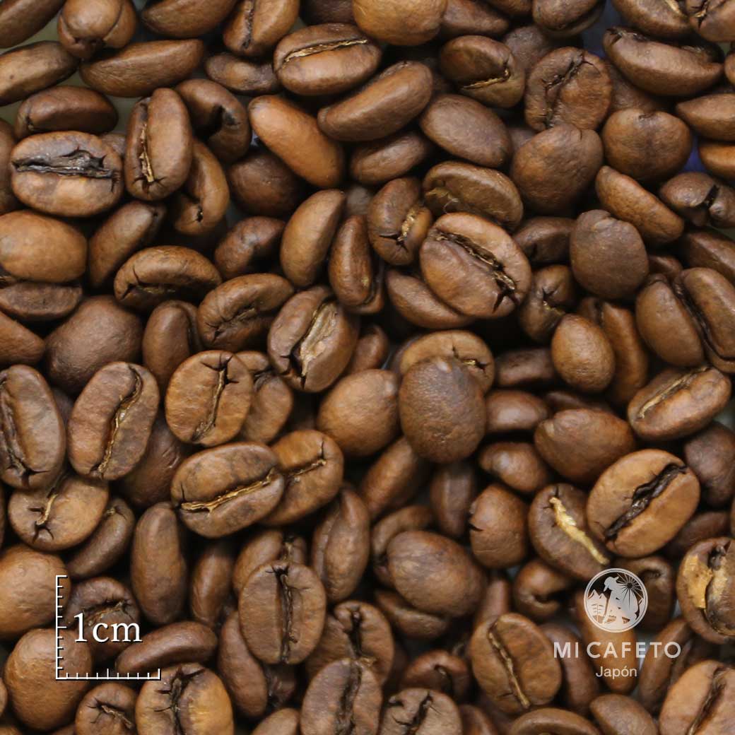 【コーヒー豆ギフト】 Premier Cru Café 2本セット 【結婚式 ギフト 飲み物】