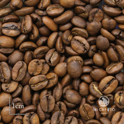 【コーヒー豆ギフト】 Premier Cru Café 2本セット 【結婚式 ギフト 飲み物】