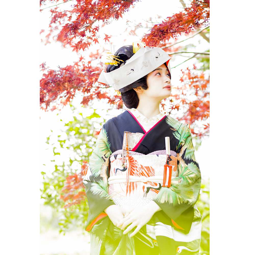 アンティーク振袖 黒地/老松総柄に鶴 【結婚式 和装 引き振袖 レンタル】