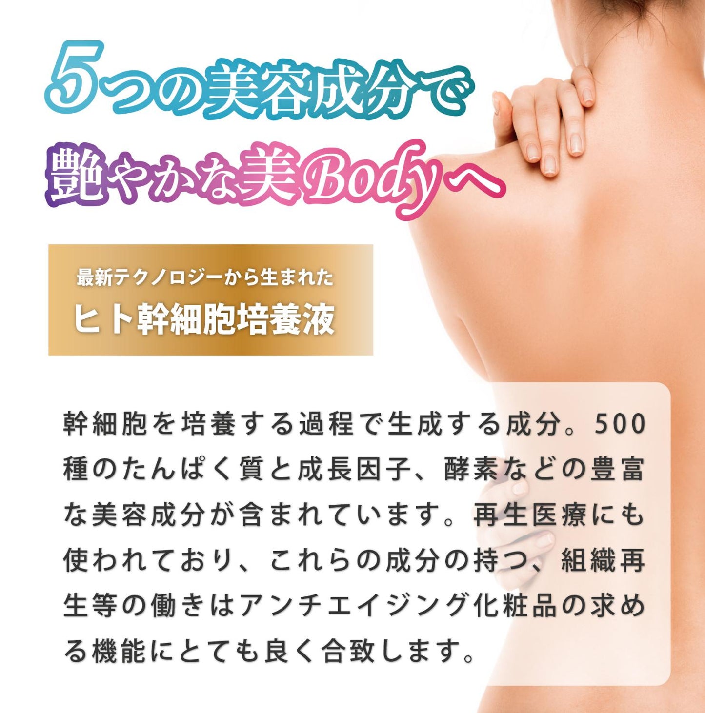 LMOSA背中デコルテシートマスク3枚セット【結婚式 ギフト 美容グッズ】