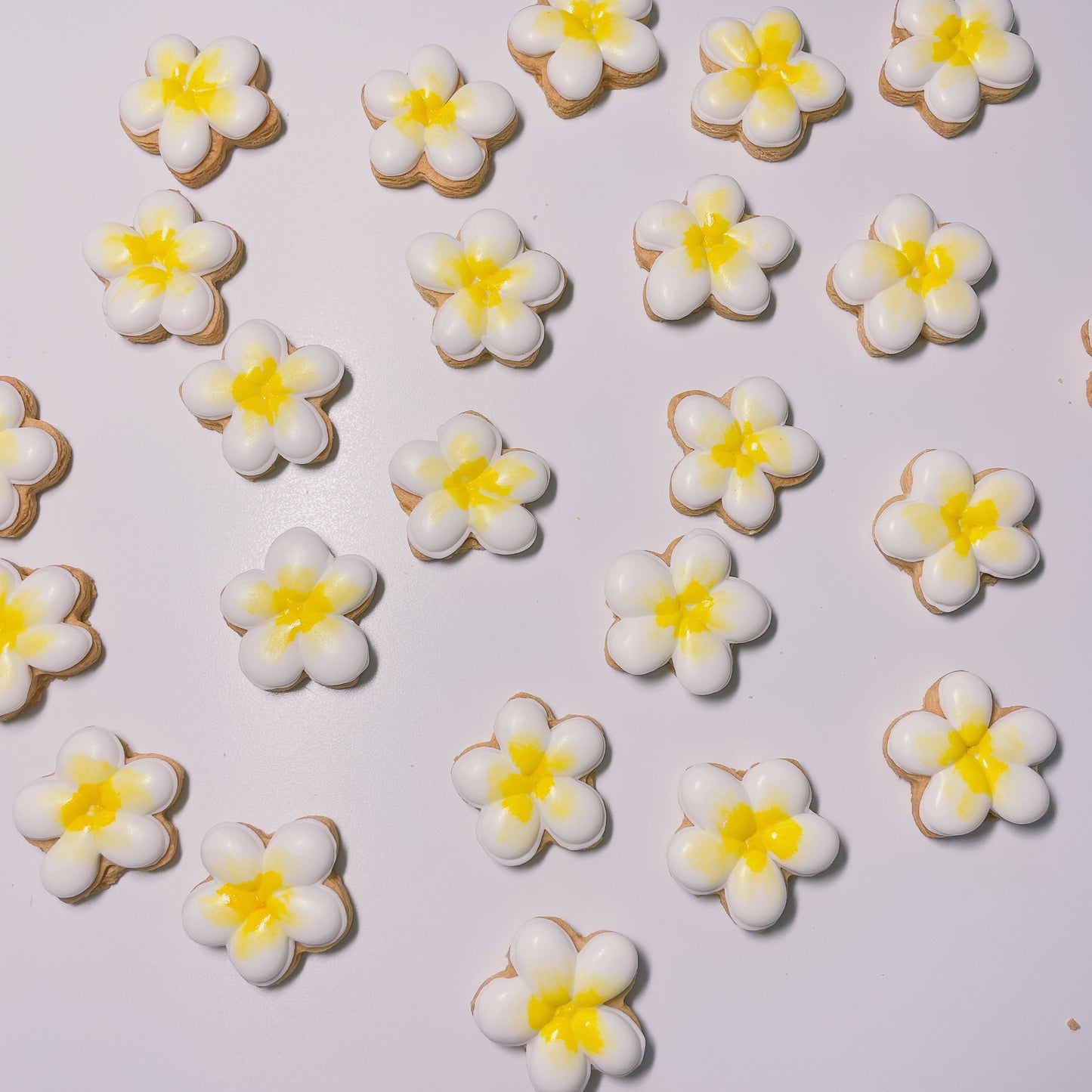 プルメリアのアイシングクッキー(プチギフト)