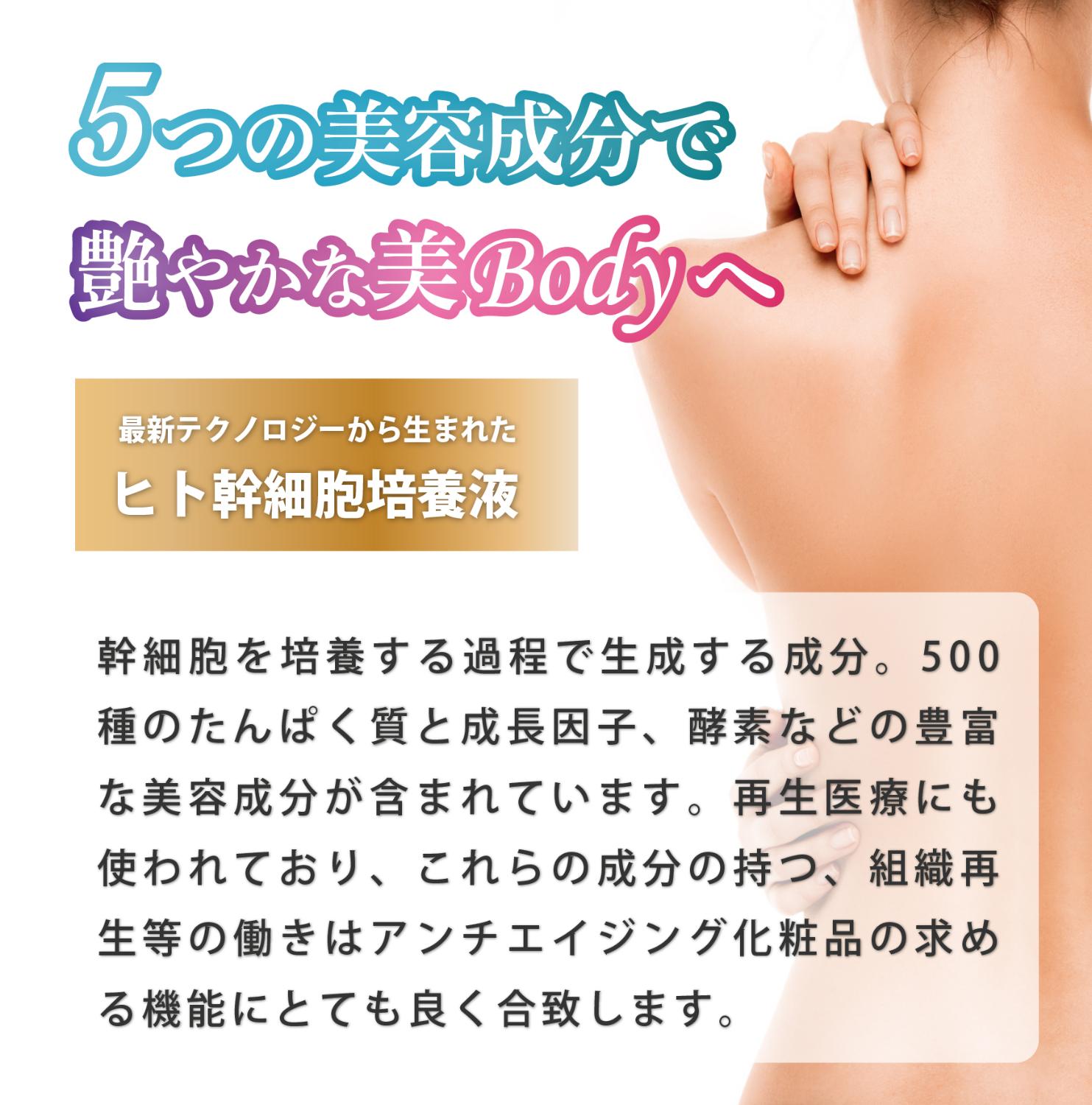 LMOSA背中デコルテシートマスク5枚セット【結婚式 ギフト 美容グッズ