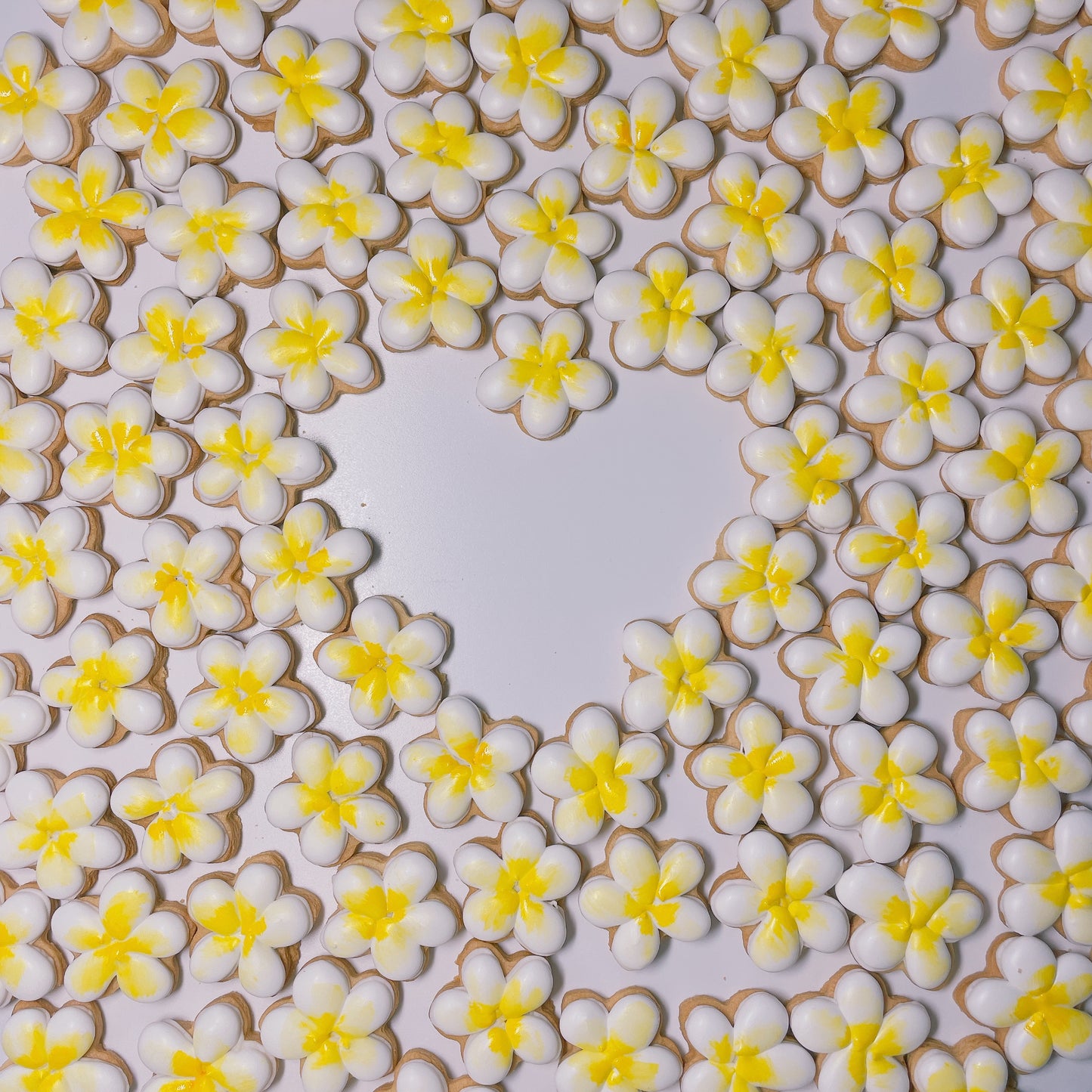 プルメリアのアイシングクッキー(プチギフト)