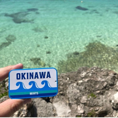 【沖縄プチギフト】ウェイブ 12個セット 【結婚式 プチギフト】