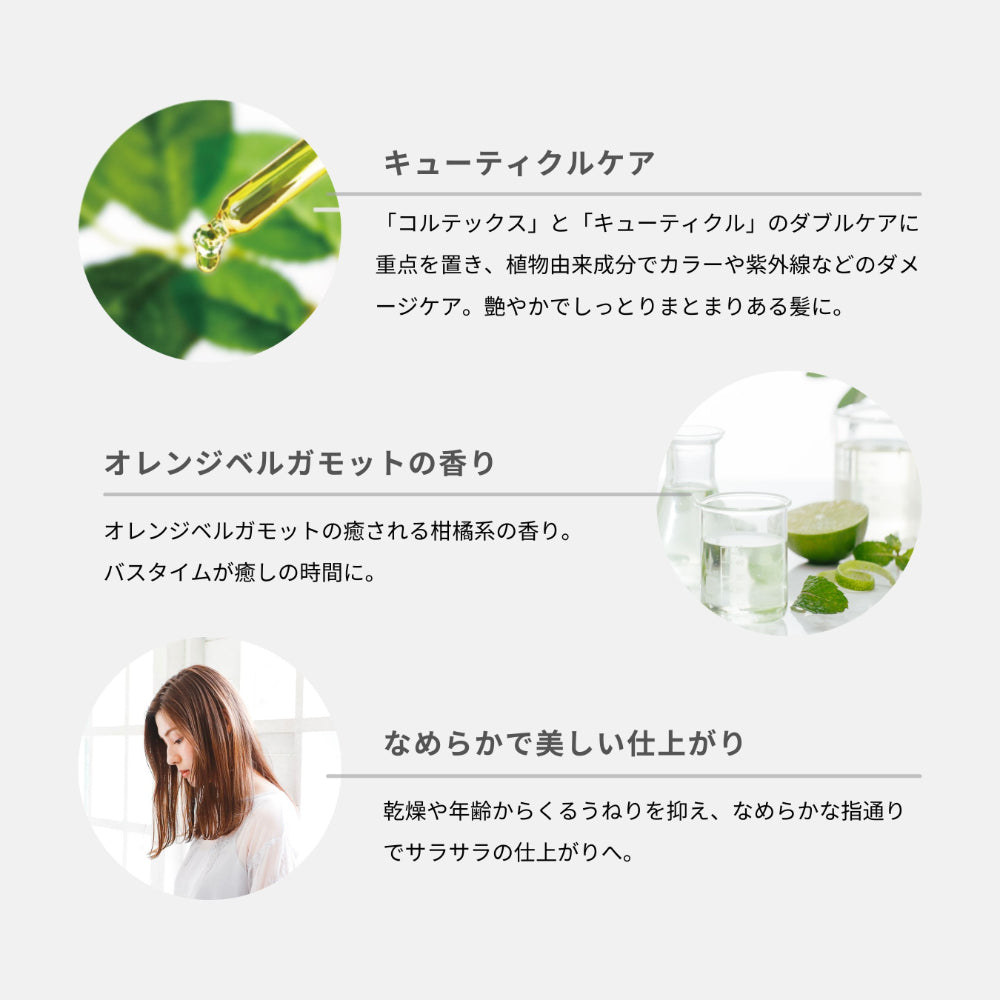 スカルプヘアケアギフトボックスセット【銀のシャンプー・白金のトリートメント】【結婚式 引き出物 美容グッズ ヘアケア】