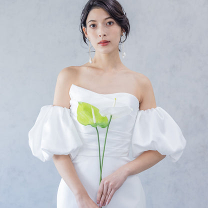 Resoll ⅽollection AULA【ウェディングドレス】