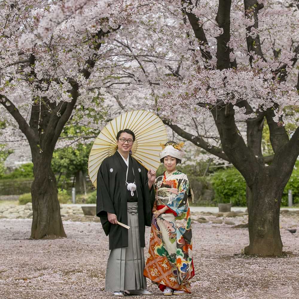 アンティーク振袖　黒地/菱紋に松と鶴 【結婚式　和装　引き振袖　レンタル】