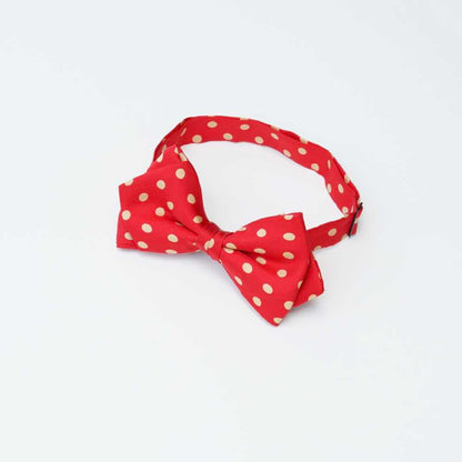 【蝶ネクタイ】TAGARU 結婚式 おしゃれ レッド 【結婚式 蝶ネクタイ】