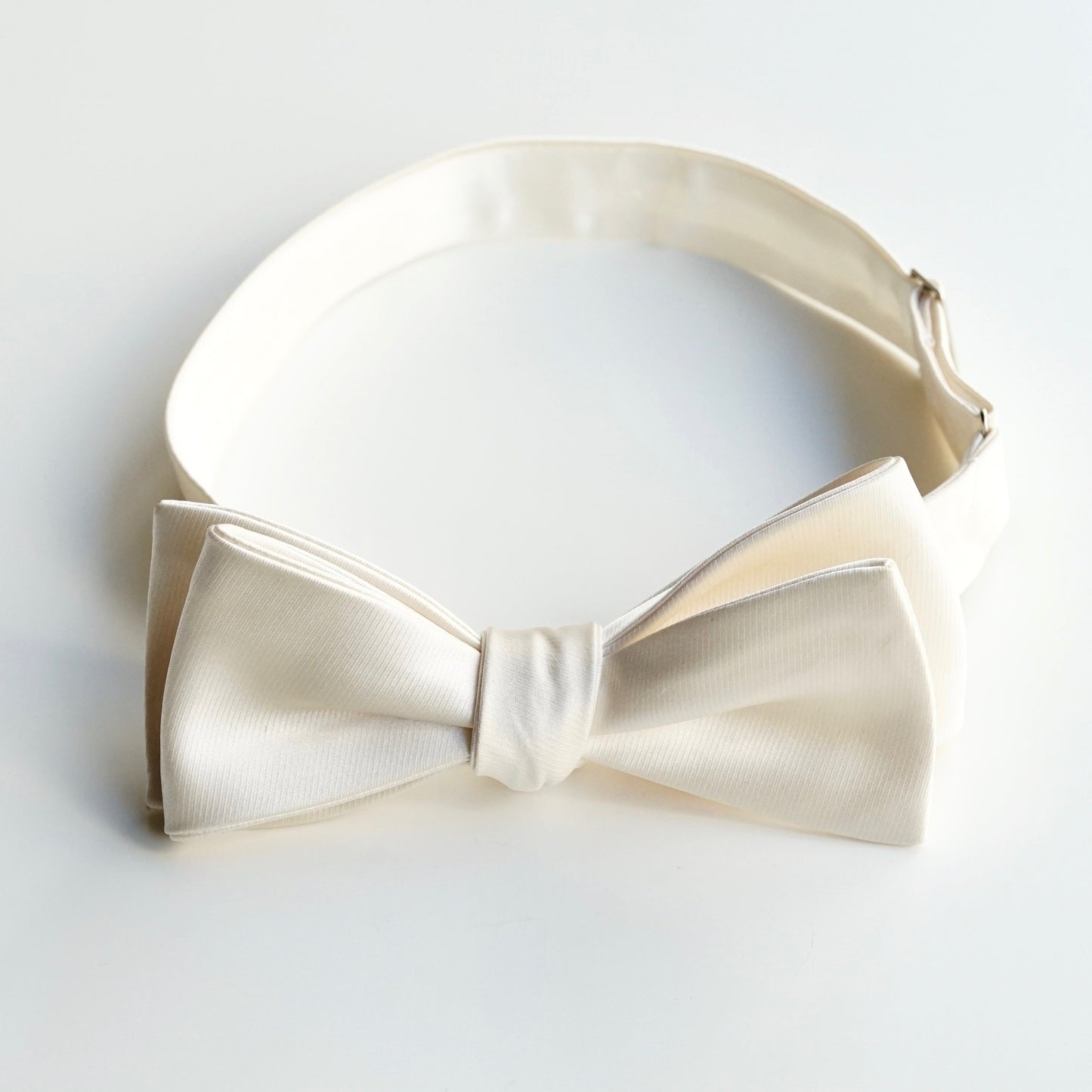 【手結び蝶ネクタイ】TAGARU 19250 【結婚式 蝶ネクタイ】