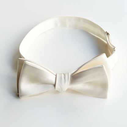 【手結び蝶ネクタイ】TAGARU 19250 【結婚式 蝶ネクタイ】