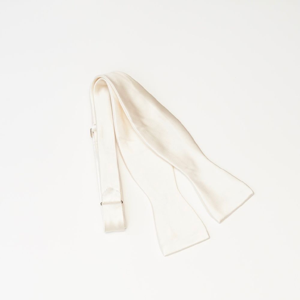 【手結び蝶ネクタイ】TAGARU 19250 【結婚式 蝶ネクタイ】