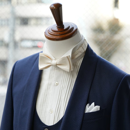 【手結び蝶ネクタイ】TAGARU 19250 【結婚式 蝶ネクタイ】