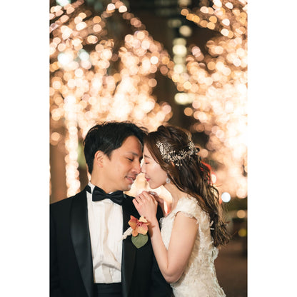 【ピアス・イヤリング】ブライダルアクセサリー ウェディング ピアス / イヤリング [ AM-163 ]【結婚式 ピアス イヤリング】