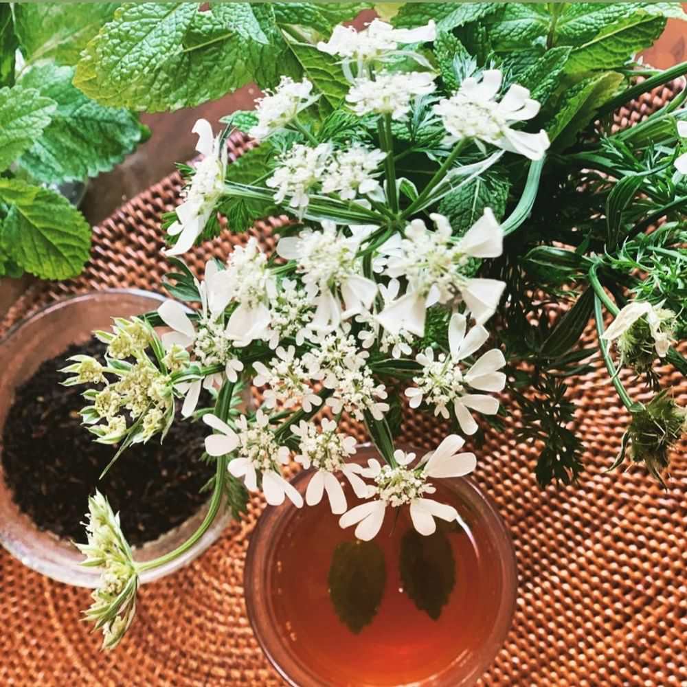 ディンブラ デュ テ 【結婚式 ギフト 縁起物 紅茶】