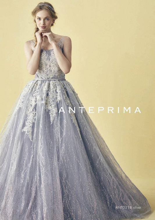 ANT0318 silver【結婚式 カラードレス レンタル】