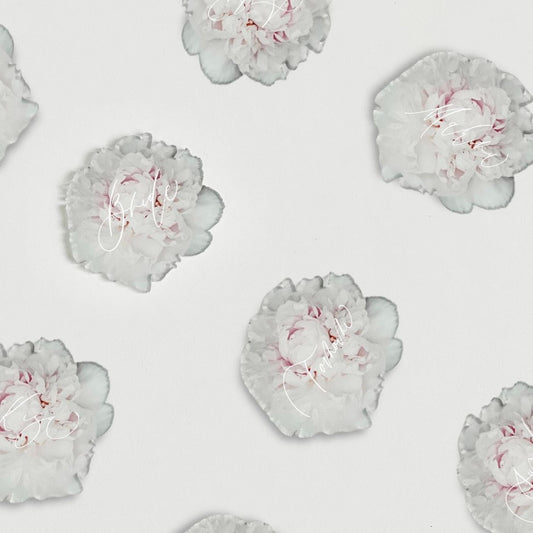 アクリルフラワー席札(ピオニー)【結婚式 ペーパー 席札】