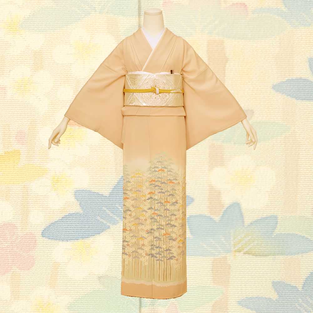 色留袖B-05-c 【結婚式 訪問着 色留袖 レンタル】