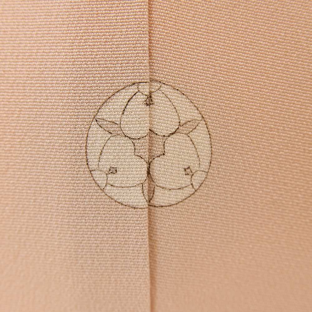 色留袖B-05-c 【結婚式 訪問着 色留袖 レンタル】