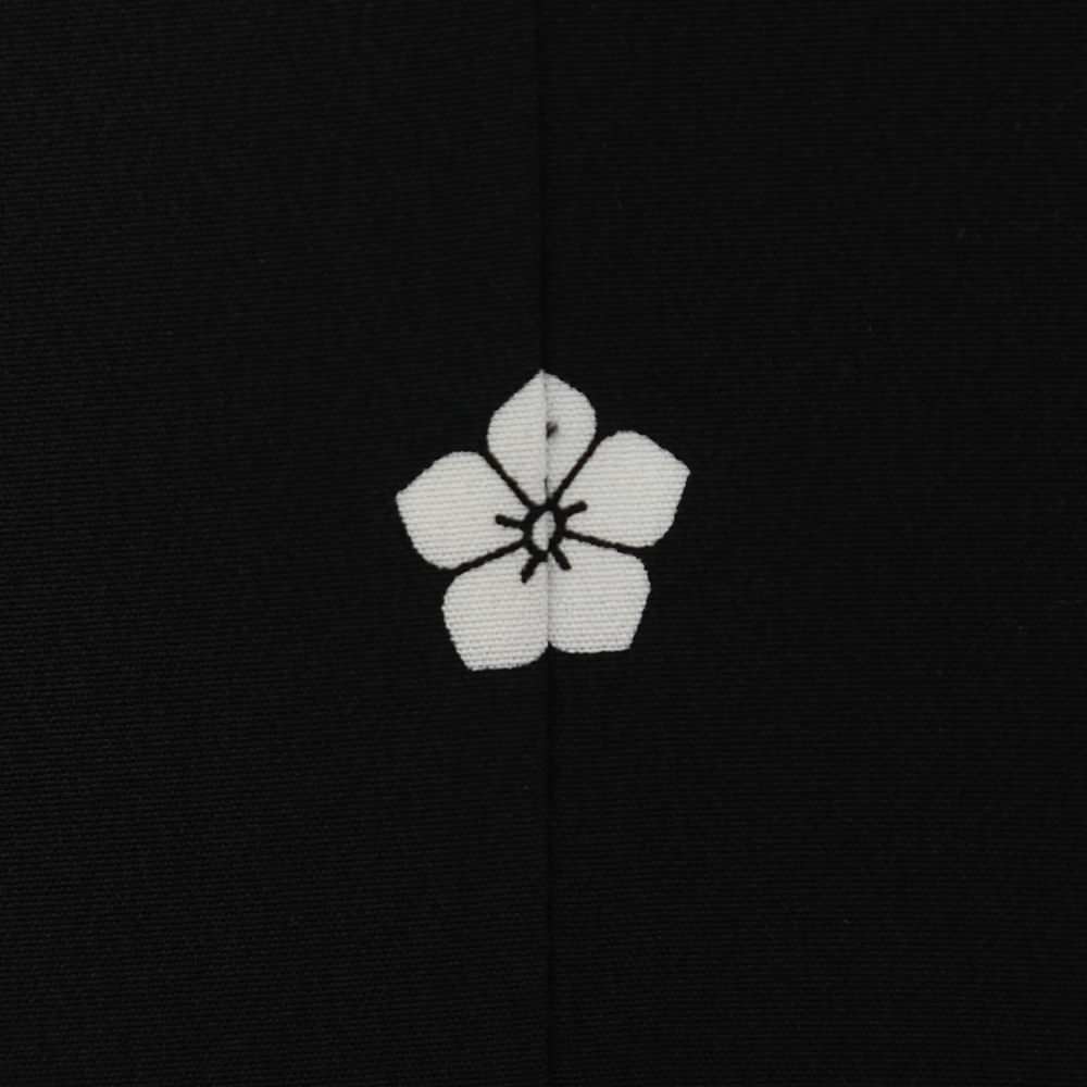 留袖B-70-t 【結婚式 留袖 レンタル】