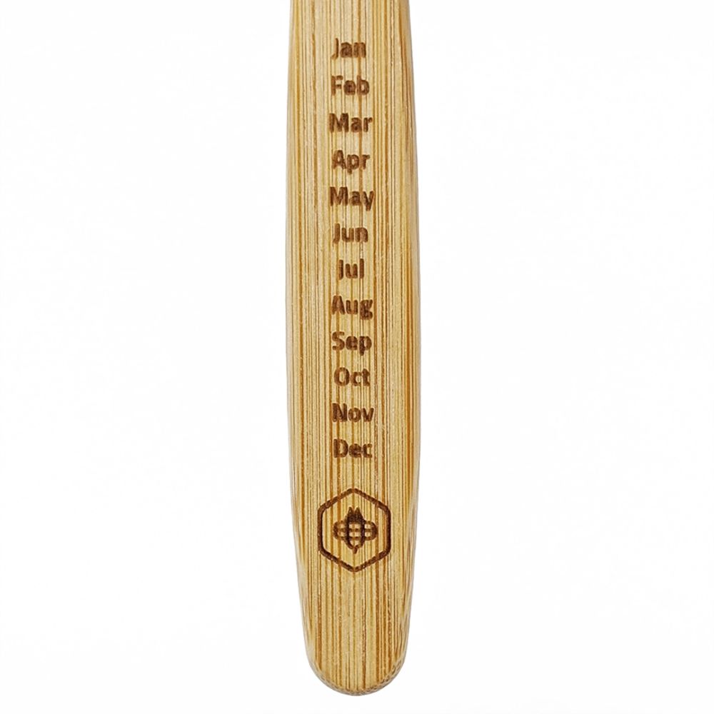 「竹」歯ブラシ 4本セット 【結婚式 引き出物 ギフト】