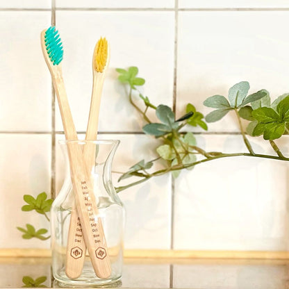 「竹」歯ブラシ 4本セット 【結婚式 引き出物 ギフト】