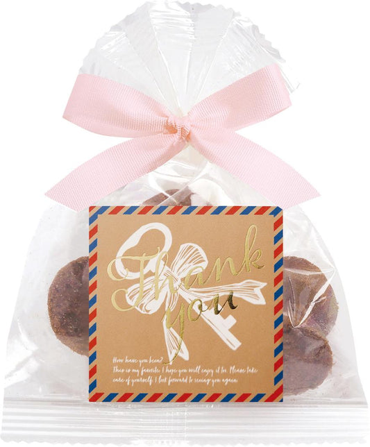 クッキー ギフト エアメール チョコレート BR 【結婚式 プチギフト 食品 引き菓子】