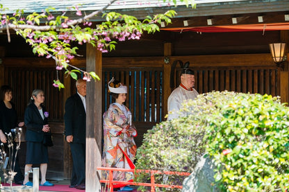 飛翔富士:着付け1点(お引上げ込) 【結婚式 和装 色打掛 レンタル】