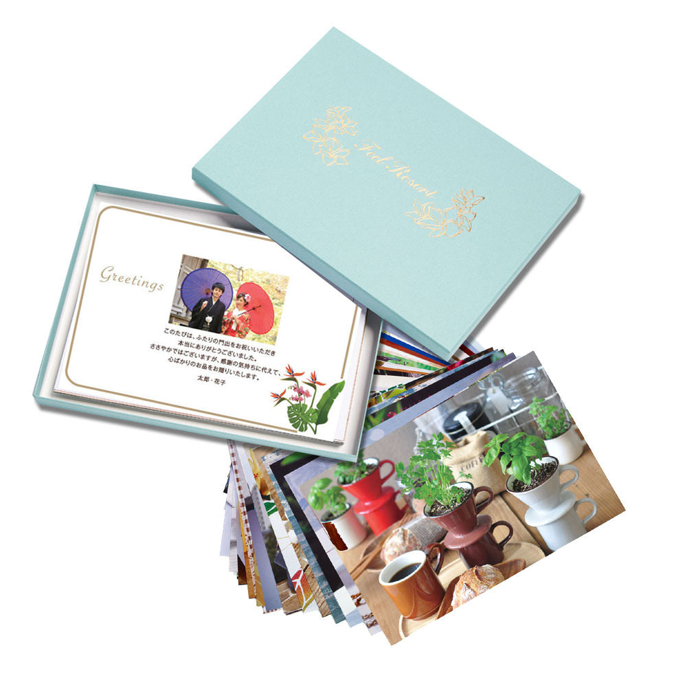 カタログギフト「フィールリゾート」ガーデン 南国プラント のし紙 【結婚式 引き出物 カタログギフト】