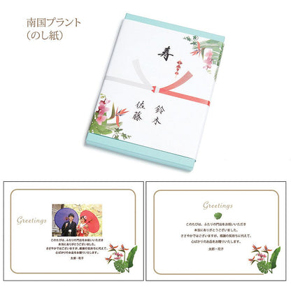 カタログギフト「フィールリゾート」ガーデン 南国プラント のし紙 【結婚式 引き出物 カタログギフト】