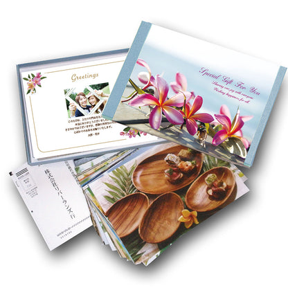 カタログギフト「フィールリゾート」オーシャン プルメリア テラス 【結婚式 引き出物 カタログギフト】